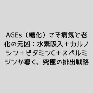 カルノシン・ビタミン・スペルミジン